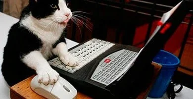 Ganar-Dinero-como-Webmaster