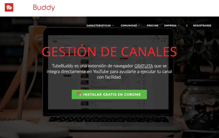 TubeBuddy